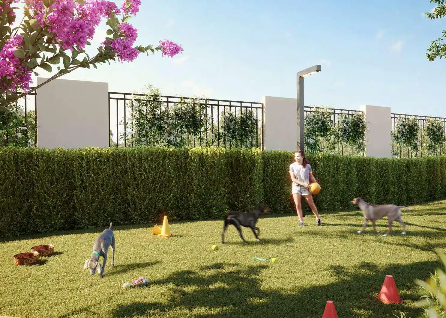 Pet Place